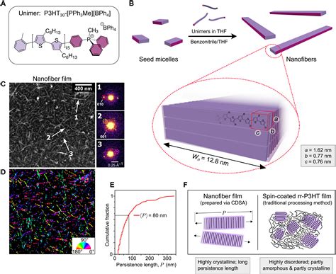 Efficient Energy Transport In An Organic Semiconductor Mediated By