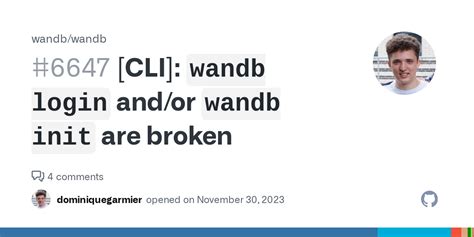 [CLI]: `wandb login` and/or `wandb init` are broken · Issue #6647 ...