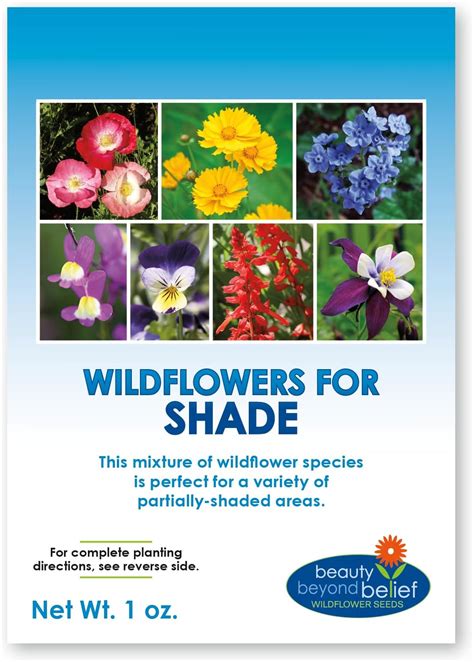 Amazon Partial Shade Wildflower Seeds Oz Open Pollinated