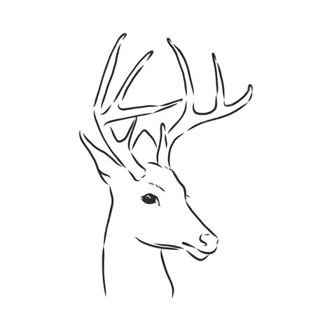 Handdrawn Deer Portrait Vector Sketch For Design Use Vector Hand Drawn