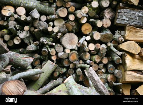 Firewood Stacked Up High Resolution Stock Photography And Images Alamy