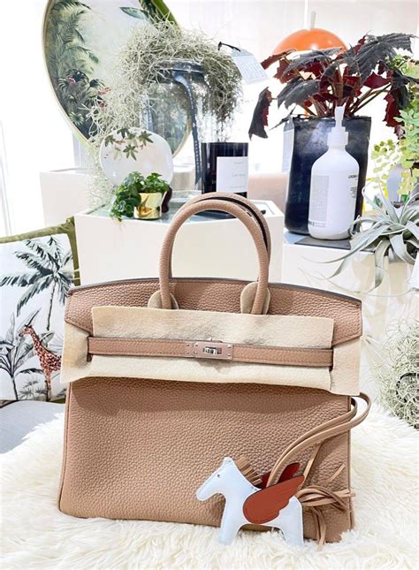 Hermes Birkin 25 chai phw Togo 名牌 手袋及銀包 Carousell