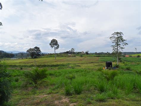 Ns Dairy Farm Sdn Bhd Negeri Sembilan Photos