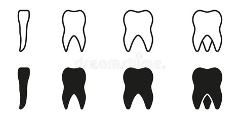 Types Van Menselijke Tanden En Silhouette Pictogrammen Reeks Anatomie