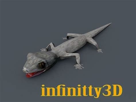 3d Model Gecko Vr Ar Low Poly Cgtrader