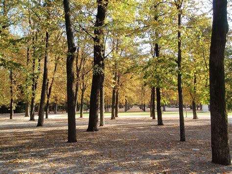 Become More Italy And Beyond Parco Ducale Parma