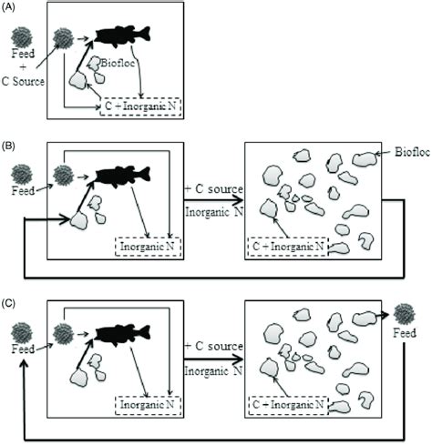 Schematic Representation Of Fish Culture Systems Using Different