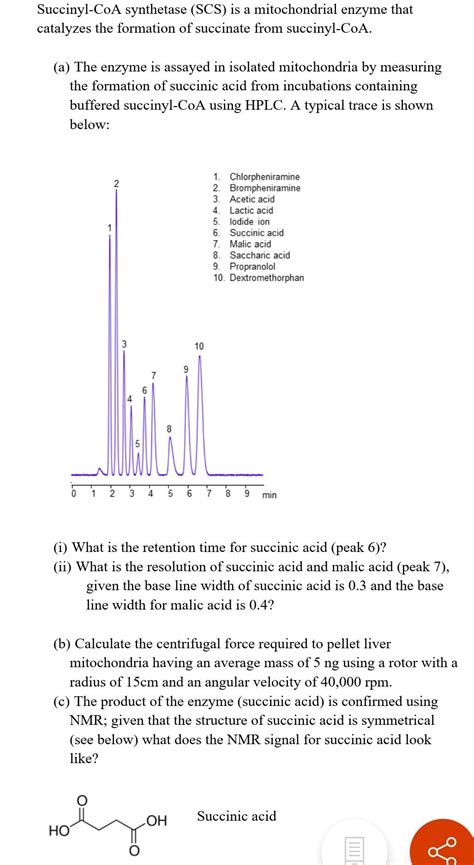 Solved Succinyl Coa Synthetase Scs Is A Mitochondrial Chegg