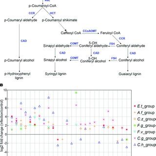 Expression Patterns Of Kauralexin And Gibberellic Acid Ga