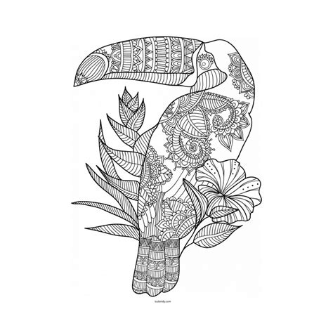 Mandala Toucan Dessin Anti Stress N Coloriage Dessin Mandala