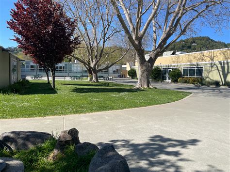 Benefits Of Schoolyard Forests — Green Schoolyards America