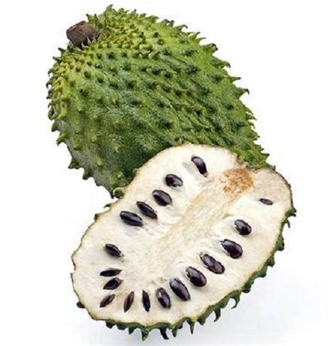 Can soursop cure cancer? | FRUITS BENEFIT