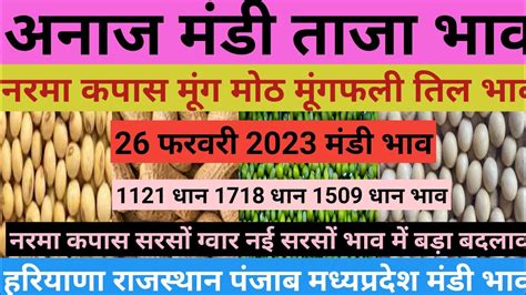 अनाज मंडी भाव 26 फरवरी 2023 नरमा कपास गेहूं ग्वार भाव गिरे तिल मूंग