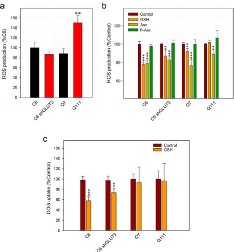 Hd Cells Show Elevated Ros Levels A Ros Production Determination In Download Scientific