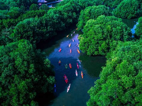 Taman Wisata Alam Twa Mangrove Angke Kapuk