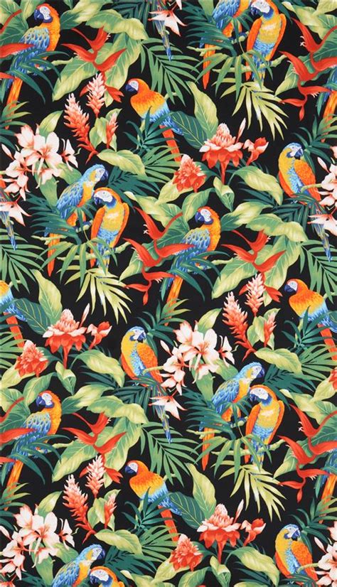 Tissu Trans Pacific Textiles Noir Avec Des Perroquets Et Des Feuilles