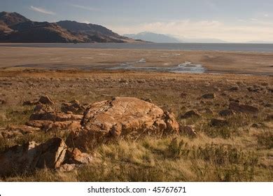 shutterstock