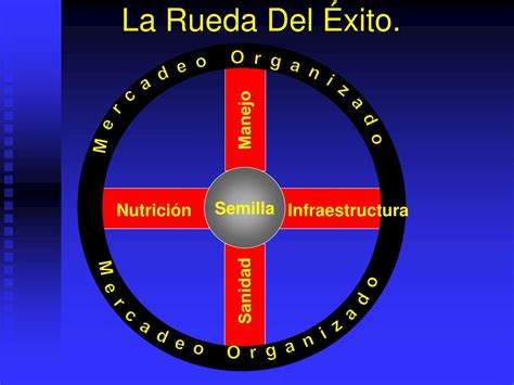 PPT Fundamentos de Ciencias Acuáticas Clase 4 La Rueda Del Éxito