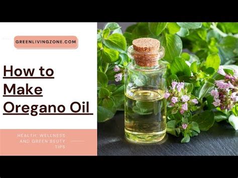 How To Make Oregano Oil YouTube