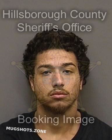 Verdecia Reyes Angelo Hillsborough County Mugshots Zone