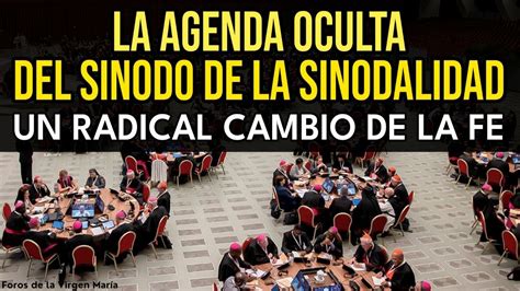 Lo Que No Te Contaron Del S Nodo De La Sinodalidad La Reforma M S