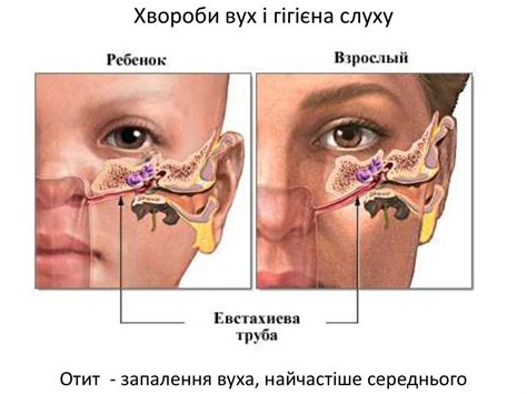 Boil In Ear Canal Antibiotics