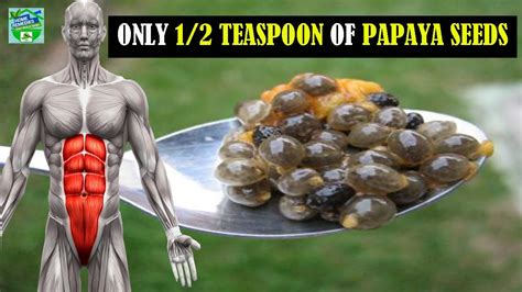 How To Eat Papaya Seeds Uses Of Papaya Seeds Home Remedies Youtube