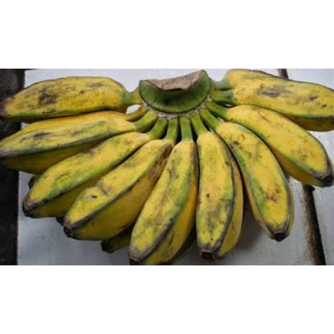 Jual Pisang Kepok Sisir Berat Kg Shopee Indonesia