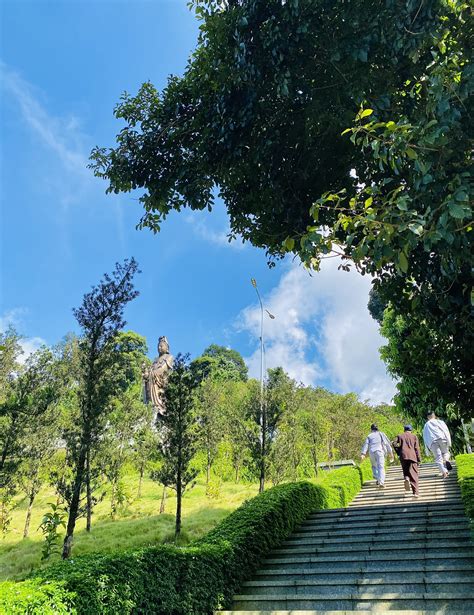 BUDDHIST DEVOTEES VISIT DAI TUNG LAM HOA SEN PAGODA AND ATTEND THE ...