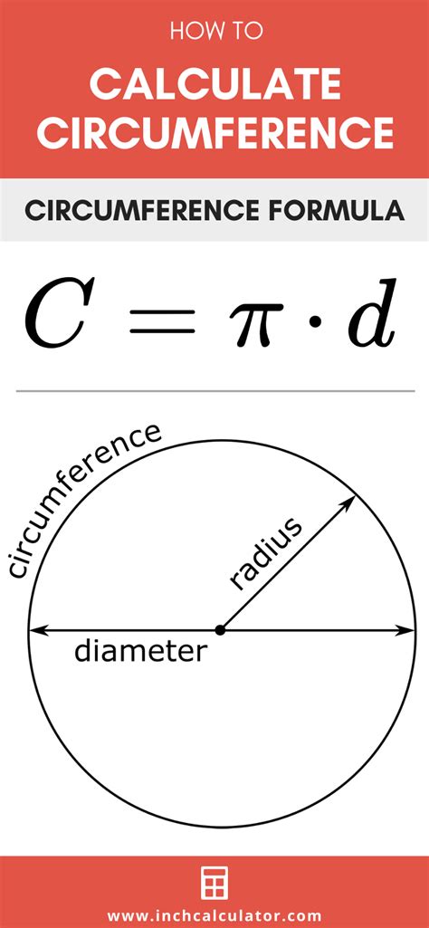 Diameter To Circumference - astonishingceiyrs