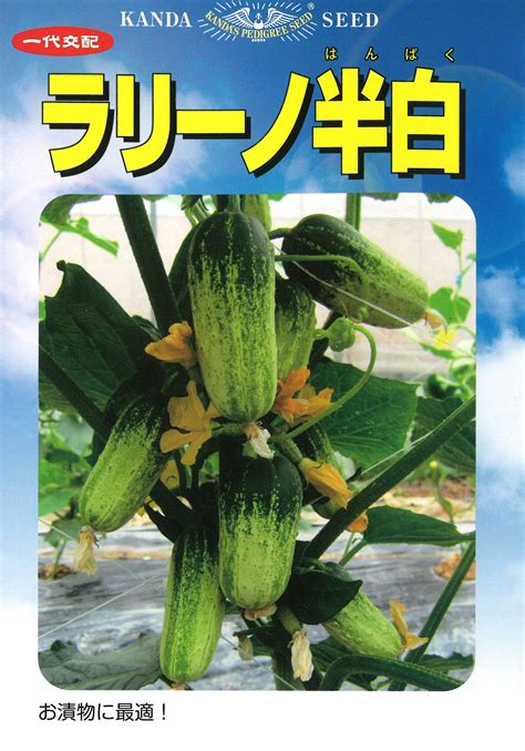 【楽天市場】ラリーノ半白 ミニキュウリ キュウリ キュウリの種 きゅうり 神田育種 小袋約10粒：さとうのタネ 楽天市場店