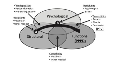 Persistent Postural Perceptual Dizziness Dizziness Doctor