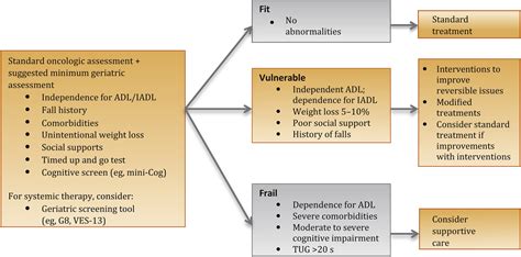 Comprehensive Geriatric Assessment In The Older Adult With Cancer A