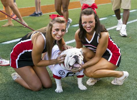 Our best photos of Georgia Bulldog mascot Uga