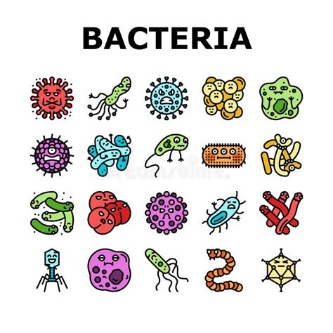 Virus Batterico Icone Delle Cellule Dei Batteri Impostano Il Vettore