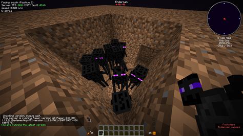 Enderman Do Not Pick Up Blocks · Issue 1115 · Purpurmcpurpur · Github