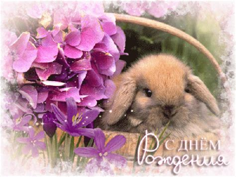 Анимационные гифки на День Рождения
