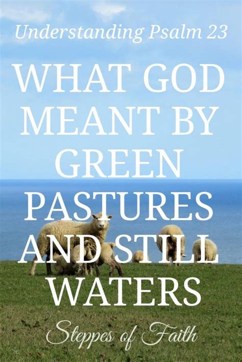 Understanding Psalm 23 What God Meant By Green Pastures And Still