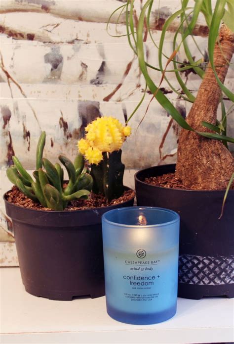 Powerfully Inspiring & Highly Scented Candles of Chesapeake Bay Candle