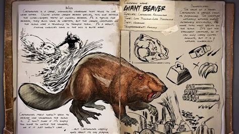 Ark Survival Ascended Todas Las Ubicaciones De Great Beaver Dam Guia