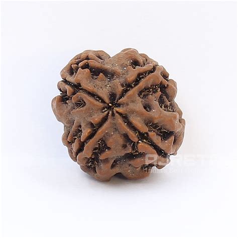 Natural Grams Mukhi Rudraksha Round Shape With I G L Lab