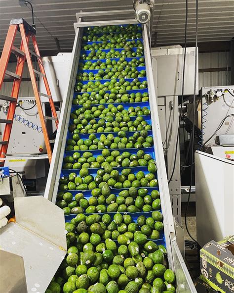 Ronnies Produce LLC - Home