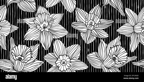 Vintage Woodcut White Daffodil Flower Silhouettes On Black Pinstripes Background Seamless