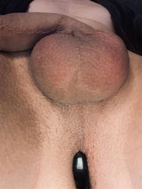 Anal Fun Pics XHamster