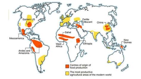 Holocene Period