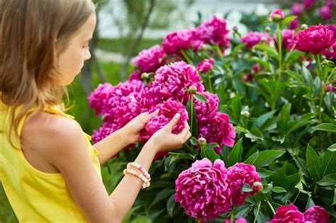 A Menina No Jardim Nos Arbustos Da Crian A Das Pe Nias Toca Na Flor