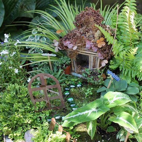 How to create a fairy garden • GreenView