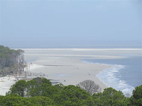 Adventures Of Toaster Hunting Island State Park Day 1