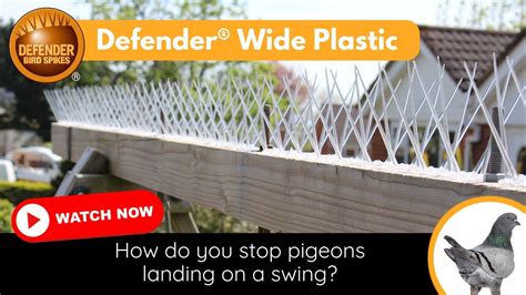 How To Stop Pigeons Landing On A Swing Defender Plastic Bird Spikes