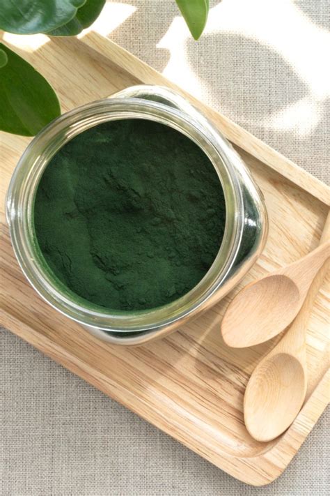 Spirulina proprietà benefici e a cosa serve NaturaleBio Spirulina